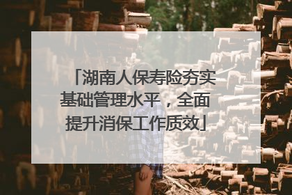 湖南人保寿险夯实基础管理水平，全面提升消保工作质效